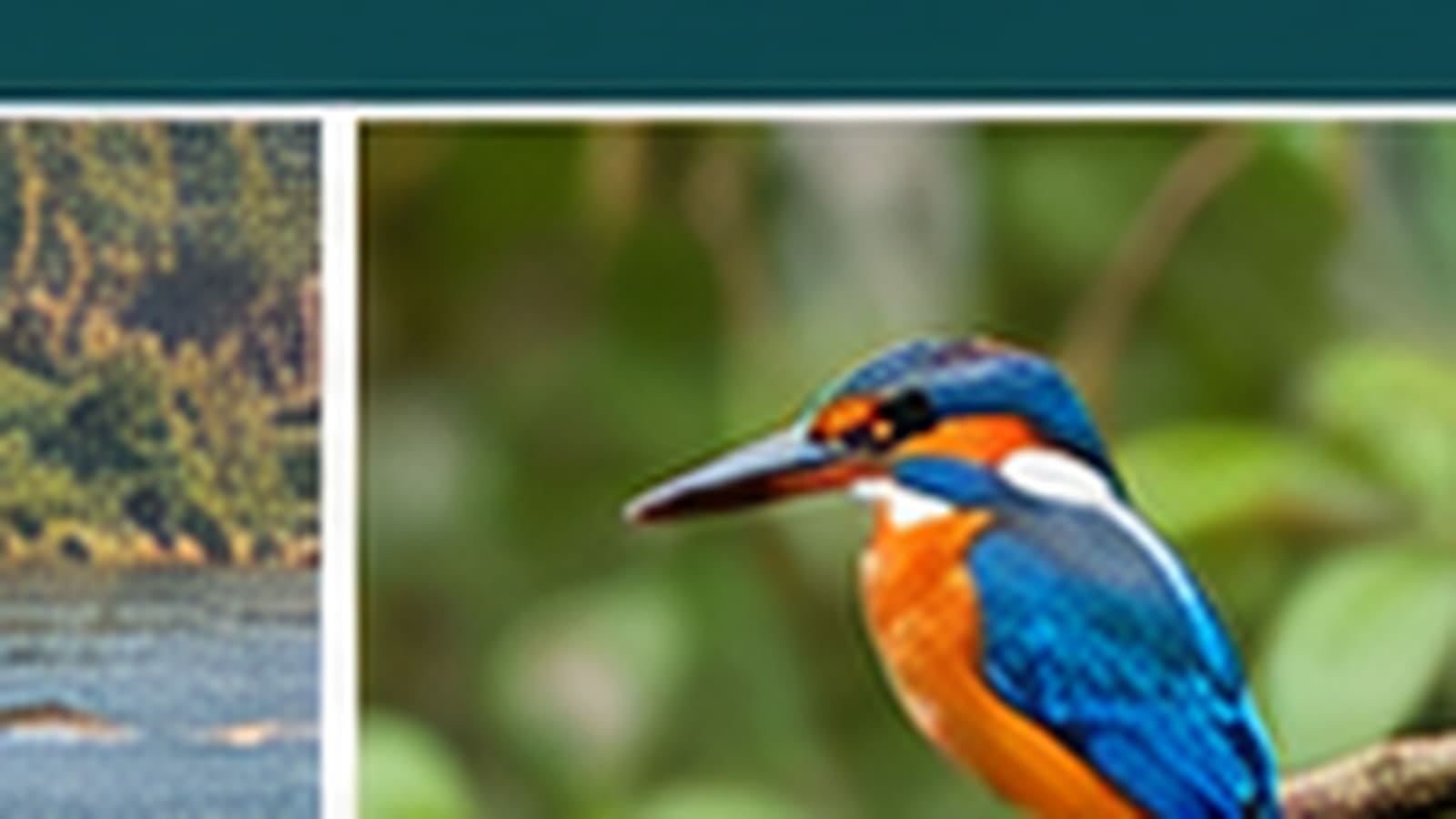 Birdwatching along the riverbanks in Chitwan National Park
