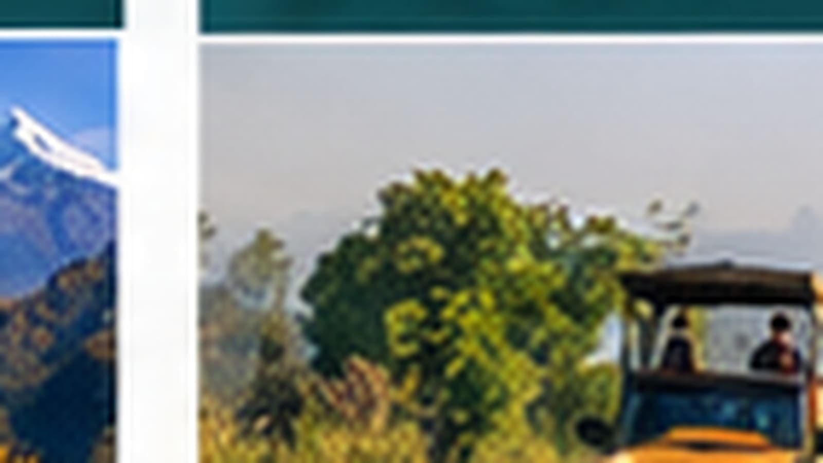 A jeep safari through Chitwan National Park
